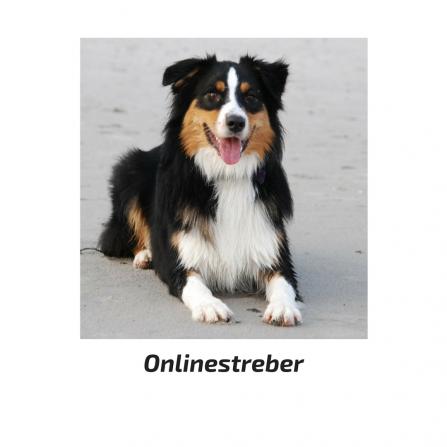 ... der Onlinekurs für die Streber